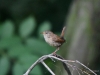 Filename=234_fotowilga~3.JPG
Filesize=279KB
Dimensions=700x525
Date added=Aug 21, 2019 234_fotowilga~3.JPG