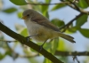 234_fotowilga~41.JPG