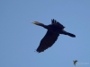 Filename=234_fotowilga~43.JPG
Filesize=194KB
Dimensions=700x525
Date added=Dec 07, 2019 234_fotowilga~43.JPG