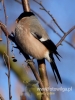 Filename=236_fotowilga~26.JPG
Filesize=61KB
Dimensions=360x480
Date added=Mar 08, 2017 236_fotowilga~26.JPG