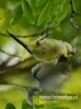 Filename=236_fotowilga~30.JPG
Filesize=75KB
Dimensions=356x480
Date added=Jun 23, 2017 236_fotowilga~30.JPG