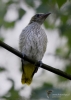 Filename=236_fotowilga~31.JPG
Filesize=217KB
Dimensions=499x700
Date added=Jul 13, 2017 236_fotowilga~31.JPG