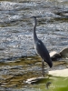 Filename=236_fotowilga~34.JPG
Filesize=419KB
Dimensions=525x700
Date added=Oct 20, 2019 236_fotowilga~34.JPG