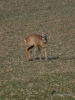 236_fotowilga~39.JPG