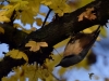 Filename=236_fotowilga~40.JPG
Filesize=269KB
Dimensions=700x525
Date added=Jan 22, 2018 236_fotowilga~40.JPG