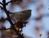 Filename=236_fotowilga~42.JPG
Filesize=250KB
Dimensions=700x544
Date added=Feb 09, 2018 236_fotowilga~42.JPG