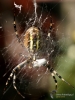 Filename=236_fotowilga~48.JPG
Filesize=264KB
Dimensions=525x700
Date added=Nov 23, 2019 236_fotowilga~48.JPG
