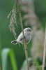 Filename=238_fotowilga~33.JPG
Filesize=220KB
Dimensions=466x700
Date added=Jul 13, 2017 238_fotowilga~33.JPG