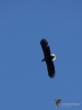 238_fotowilga~44.JPG