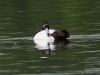 Filename=239_fotowilga~46.JPG
Filesize=262KB
Dimensions=700x525
Date added=Nov 14, 2019 239_fotowilga~46.JPG