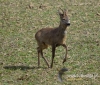 Filename=240_fotowilga~26.JPG
Filesize=147KB
Dimensions=563x480
Date added=Mar 26, 2017 240_fotowilga~26.JPG
