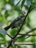 Filename=241_fotowilga~36.JPG
Filesize=79KB
Dimensions=357x480
Date added=Jun 23, 2017 241_fotowilga~36.JPG