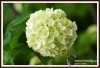 Filename=241_fotowilga~4.JPG
Filesize=114KB
Dimensions=720x494
Date added=Jul 13, 2013 241_fotowilga~4.JPG