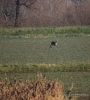 Filename=241_fotowilga~43.JPG
Filesize=421KB
Dimensions=631x700
Date added=Jan 01, 2018 241_fotowilga~43.JPG