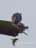 Filename=242_fotowilga~37.JPG
Filesize=36KB
Dimensions=360x480
Date added=Oct 19, 2017 242_fotowilga~37.JPG