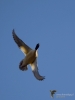 243_fotowilga~48.JPG