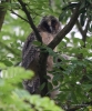 Filename=244_fotowilga~44.JPG
Filesize=310KB
Dimensions=583x700
Date added=Jun 25, 2018 244_fotowilga~44.JPG