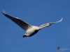 Filename=244_fotowilga~46.JPG
Filesize=186KB
Dimensions=700x525
Date added=Feb 24, 2019 244_fotowilga~46.JPG