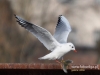 Filename=245_fotowilga~14.JPG
Filesize=83KB
Dimensions=640x480
Date added=Feb 10, 2016 245_fotowilga~14.JPG