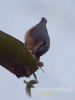 Filename=245_fotowilga~36.JPG
Filesize=38KB
Dimensions=360x480
Date added=Nov 03, 2017 245_fotowilga~36.JPG