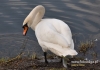 Filename=245_fotowilga~7.JPG
Filesize=109KB
Dimensions=640x448
Date added=May 31, 2015 245_fotowilga~7.JPG