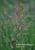 246_fotowilga~11.JPG