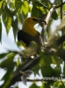 Filename=246_fotowilga~18.JPG
Filesize=87KB
Dimensions=357x480
Date added=Jan 31, 2016 246_fotowilga~18.JPG