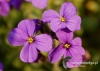 Filename=247_fotowilga~23.JPG
Filesize=93KB
Dimensions=640x457
Date added=Apr 23, 2016 247_fotowilga~23.JPG