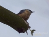 Filename=247_fotowilga~42.JPG
Filesize=49KB
Dimensions=640x480
Date added=Nov 03, 2017 247_fotowilga~42.JPG