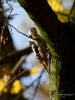 Filename=247_fotowilga~44.JPG
Filesize=254KB
Dimensions=525x700
Date added=Jan 05, 2018 247_fotowilga~44.JPG