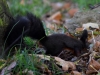 Filename=247_fotowilga~48.JPG
Filesize=287KB
Dimensions=700x525
Date added=Feb 21, 2018 247_fotowilga~48.JPG