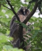 Filename=247_fotowilga~55.JPG
Filesize=301KB
Dimensions=583x700
Date added=Mar 30, 2019 247_fotowilga~55.JPG