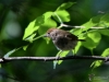 Filename=247_fotowilga~60.JPG
Filesize=255KB
Dimensions=700x525
Date added=Dec 21, 2019 247_fotowilga~60.JPG
