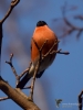 Filename=249_fotowilga~49.JPG
Filesize=230KB
Dimensions=525x700
Date added=May 15, 2019 249_fotowilga~49.JPG