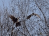 Filename=250_fotowilga~19.JPG
Filesize=512KB
Dimensions=700x525
Date added=Mar 20, 2019 250_fotowilga~19.JPG
