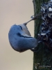 Filename=251_fotowilga~52.JPG
Filesize=233KB
Dimensions=525x700
Date added=May 19, 2019 251_fotowilga~52.JPG
