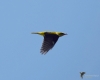 Filename=253_fotowilga~31.JPG
Filesize=174KB
Dimensions=700x560
Date added=Jun 24, 2017 253_fotowilga~31.JPG