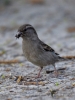 Filename=253_fotowilga~46.JPG
Filesize=277KB
Dimensions=525x700
Date added=Mar 10, 2019 253_fotowilga~46.JPG