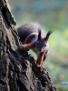 Filename=254_fotowilga~48.JPG
Filesize=280KB
Dimensions=525x700
Date added=Mar 14, 2018 254_fotowilga~48.JPG