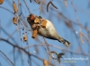 Filename=255_fotowilga~17.JPG
Filesize=94KB
Dimensions=640x475
Date added=Jan 20, 2016 255_fotowilga~17.JPG