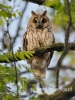 255_fotowilga~29.JPG