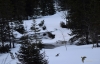 Filename=255_fotowilga~44.JPG
Filesize=287KB
Dimensions=700x449
Date added=May 11, 2018 255_fotowilga~44.JPG