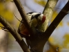 Filename=256_fotowilga~39.JPG
Filesize=253KB
Dimensions=700x525
Date added=Nov 30, 2017 256_fotowilga~39.JPG