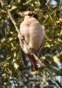 Filename=256_fotowilga~5.JPG
Filesize=98KB
Dimensions=343x480
Date added=Oct 09, 2014 256_fotowilga~5.JPG