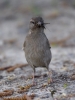 Filename=256_fotowilga~51.JPG
Filesize=249KB
Dimensions=525x700
Date added=Mar 04, 2019 256_fotowilga~51.JPG