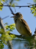 Filename=257_fotowilga~51.JPG
Filesize=241KB
Dimensions=525x700
Date added=Jun 12, 2019 257_fotowilga~51.JPG