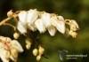 Filename=257_fotowilga~9.JPG
Filesize=105KB
Dimensions=720x508
Date added=May 15, 2014 257_fotowilga~9.JPG