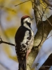 Filename=259_fotowilga~39.JPG
Filesize=246KB
Dimensions=525x700
Date added=Jan 22, 2018 259_fotowilga~39.JPG