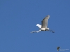 Filename=259_fotowilga~49.JPG
Filesize=201KB
Dimensions=700x525
Date added=Sep 27, 2019 259_fotowilga~49.JPG