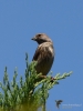 Filename=261_fotowilga~44.JPG
Filesize=253KB
Dimensions=525x700
Date added=Jul 30, 2019 261_fotowilga~44.JPG